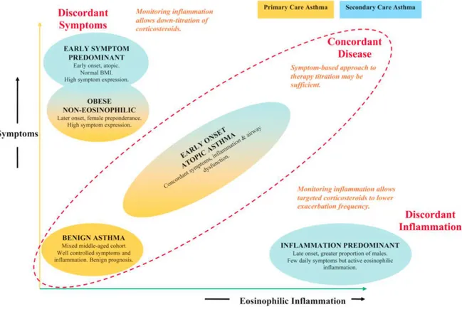 Figure 2     :Les phénotypes cliniques de l'asthme selon Haldar et al 9