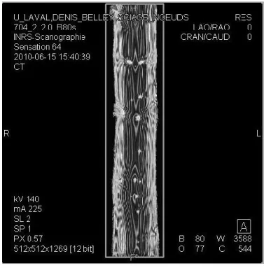 Figure 2.26.  Image d‟une coupe longitudinale de pin gris provenant d‟un CT-scan  