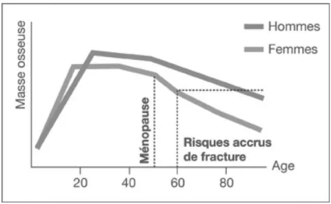 Figure 3 : Evolution de la masse osseuse en fonction de l’âge selon www.aporose.fr