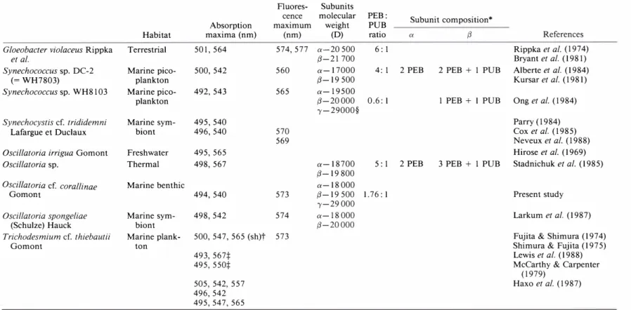 Table  2.  Properties of CU-phycoerythrin  from  blue-green  algae 
