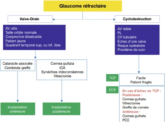Figure 17. Arbre décisionnel dans le traitement du glaucome réfractaire d’après Glaucome primitif à angle  ouvert (58)