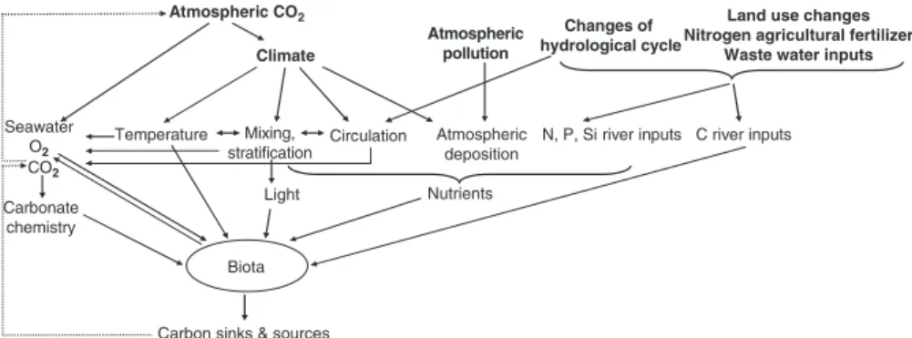 Figure 3.2 depicts a conceptual diagram of the different anthropogenic forcings on the  coastal ocean that can modify the sources and sinks of carbon and ultimately provide  a feedback on increasing atmospheric CO 2 