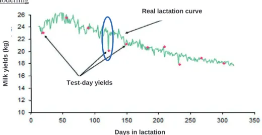 Figure 1: evolution of the real lactation curve (daily yields) and yields recorded at 111