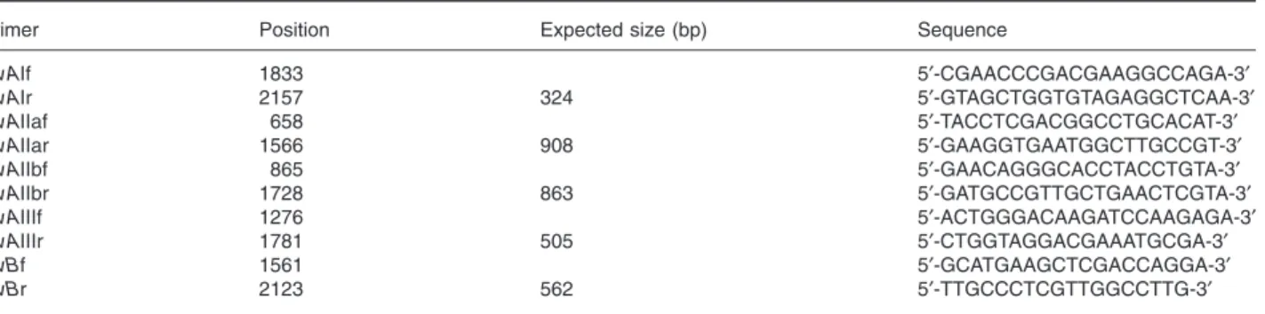 Table 3. Primers used in this study.