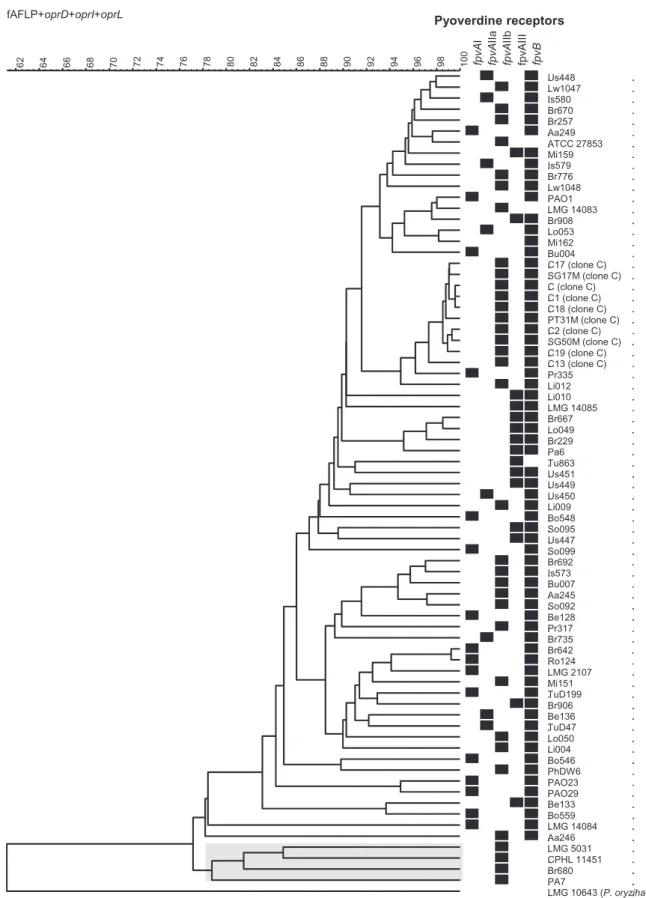 Fig. 2. Dendrogram ( UPGMA , BioNumerics v5.2) based on the comparison of the composite data set consisting of the AFLP pattern, the oprI, oprL and oprD nucleotide sequences and the serotype of 75 diverse P