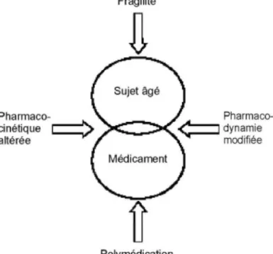 Figure 1. Illustration des principales composantes à prendre en compte Ions de la prescription d'un médicament  chez le sujet âgé 