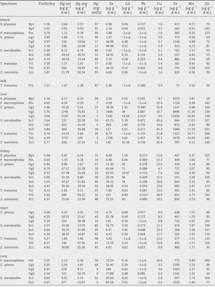 Table 3 – Concentrations (means of 2 determinations) of the different elements in the organs and tissues of the cetaceans, reported as μ g g − 1 dry weight, organic mercury as μ g of Hg g − 1