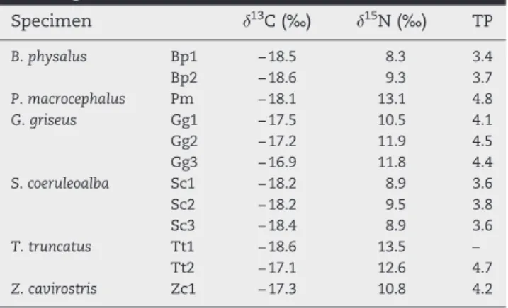 Table 4 – δ 13 C and δ 15 N values in muscle of the cetaceans from Ligurian Sea