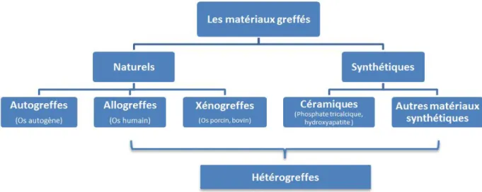 Figure 2 : Schéma descriptif des différents types de greffes possibles en fonction du greffon utilisé