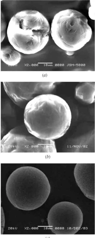Figure 1. Scanning electron micrographs of ibuprofen-loaded microspheres made from (a) PCL; (b) P(LA-b- P(LA-b-CL); (c) PLA