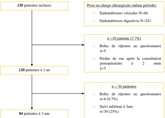 Figure 12 : Organigramme des patientes 130 patientes incluses 