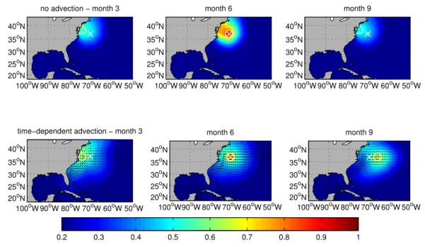 Fig. 7. 3-D case: background error covariance without (upper row) and with advection constraint (lower row) for a data point located at the cross and at month 6.