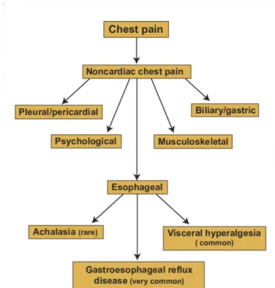 Figure 6 : Les diagnostics non cardiologiques des douleurs thoraciques 