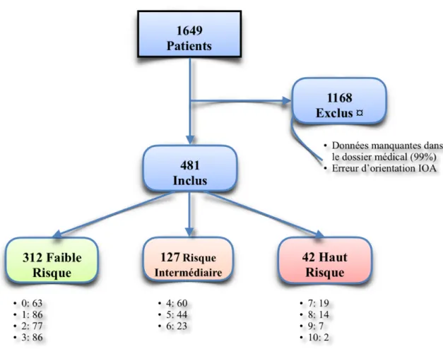 Figure 6 : diagramme de flux d'inclusion des patients dans l'étude 