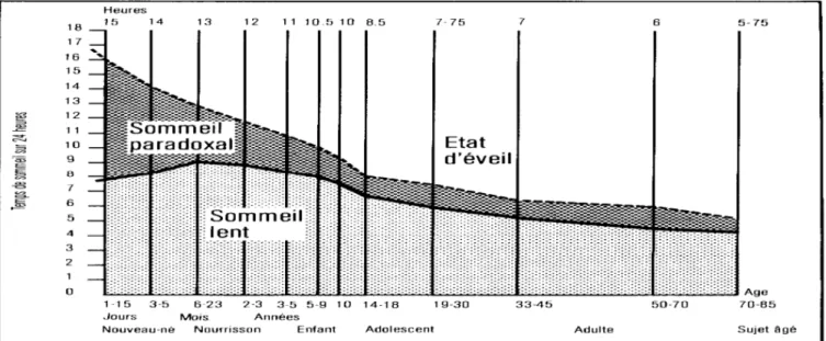 Figure 2 : répartition du temps de sommeil sur 24 heures au cours de la vie (39) 