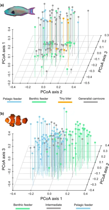 Figure 4 Functional spaces of Labridae and Pomacentridae. Distribution of the species in functional spaces where axes represent PCoA1 – PCoA3 from a Principal Coordinate Analysis of functional traits