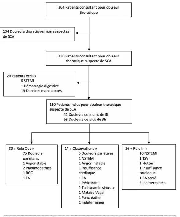 Figure 3 – Diagramme de flux et distribution des patients 