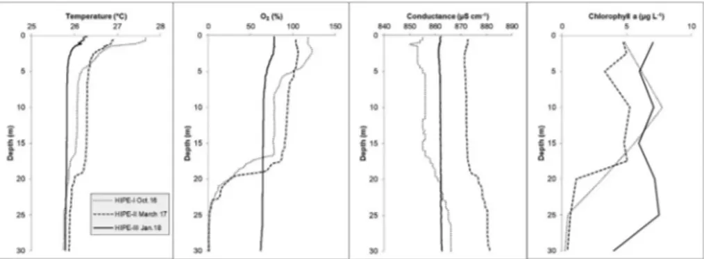 Table S1), due to high TA (7.9–8.5 mmol L 1 ; Table S1). Conse- Conse-quently, dissolved CO 2 corresponded on average to 0.2% of the total DIC, while HCO 3  and CO 3 2 represented on average 95.1% and 4.7%, respectively