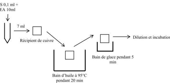 Figure 7: Schéma du traitement thermique 
