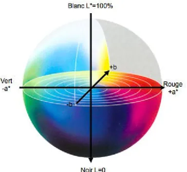 Figure 9 : Sphère de la chromaticité absolue L*a*b* 