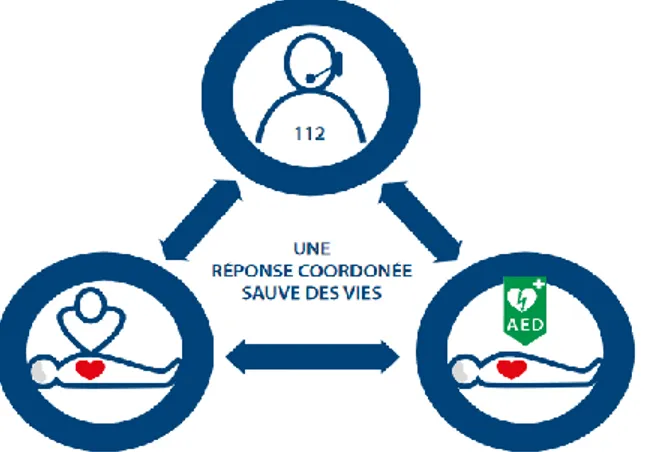 Figure 4 : Interaction entre l’opérateur du centre de secours 112, le témoin, et le DEA, tiré des recommandation  ERC 2015 