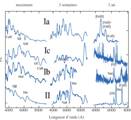 Figure 17. Spectres de SN de différents types (de haut en bas), pris à trois différents instants  (de gauche à droite)