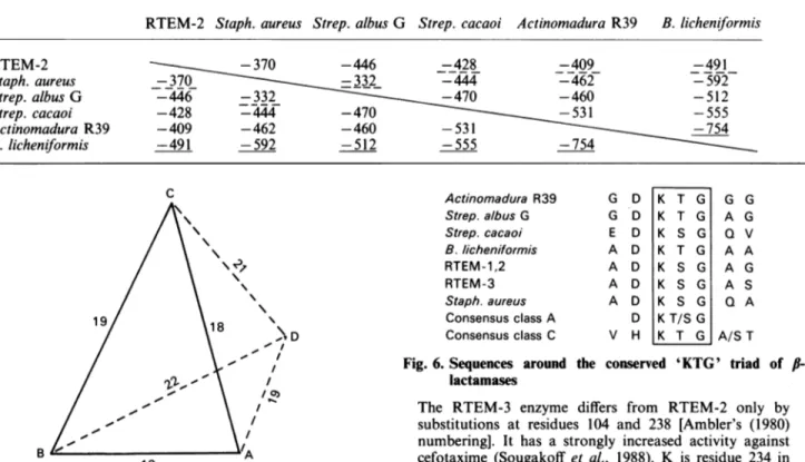 Table 12. Analysis of the sequence similarities between six class A fl-lactamases