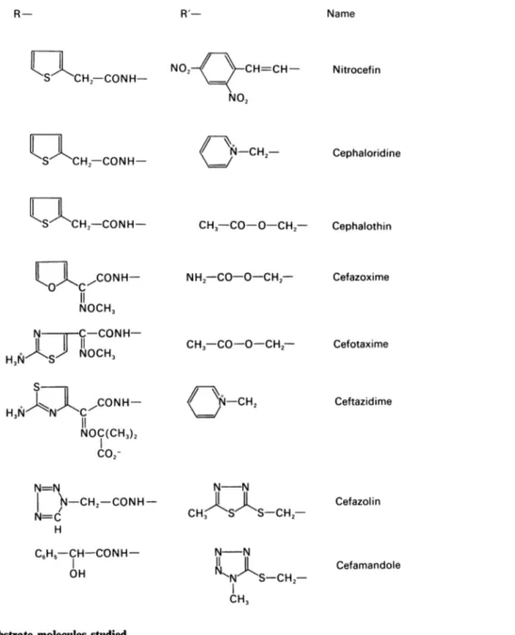 Table 2. Kinetic parameters of 8-lactamases for penicillanate and 6-aminopenicillanate