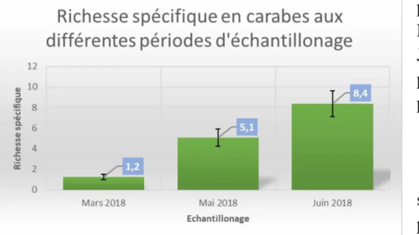 Figure 6 - Richesses spécifiques aux différentes périodes