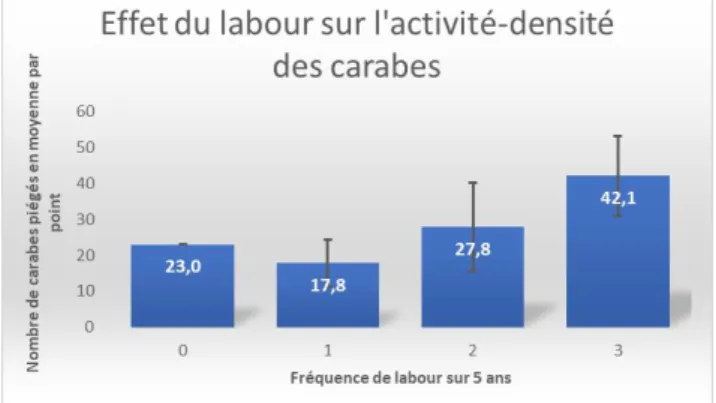 Figure 9 - Effet du labour sur l'activité-densité des  carabes en Juin 