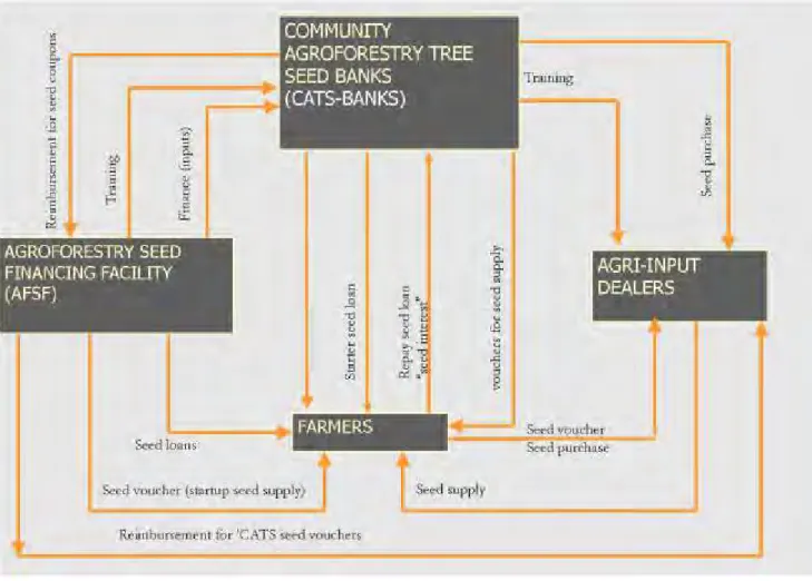 Figure 1: Conceptual framework of the Community Agroforestry Tree Seeds Bank (CATS Bank) approach (Source: Akinnifesi F.K., unpublished, 2008).