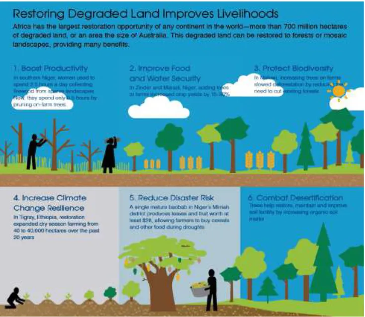 Figure 1.   Restoring Degraded Land Improves Livelihoods. Source: World Resources Institute, December 2015