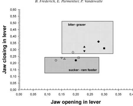 Figure 10. Plots of jaw opening in-lever and jaw closing in-lever. Symbols: circles = Chromis viridis;