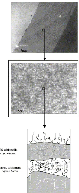 Fig. 7. TEM observations of the distinct interphase (ca. 7.5 µm) formed by the copolymer layer (top),  and of the phase morphology of this interphase (middle)