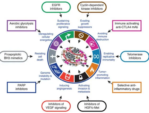 Figure 1: Les mécanismes de l'oncogenèse et leur ciblage potentiel par thérapie ciblée  (Hanahan et al