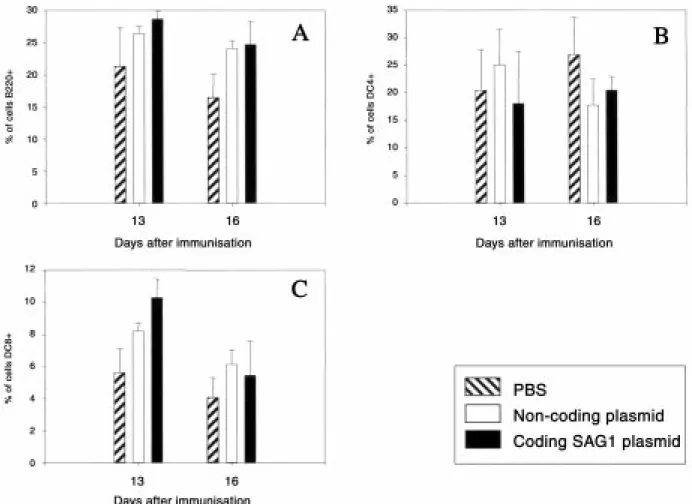 Fig. 5 - Evolution, as monitored by flow cytometry on days 13 and 16, of splenic lymphoid cells expressing the CD4, CD8, or B220 marker after injection with PBS or with a plasmid