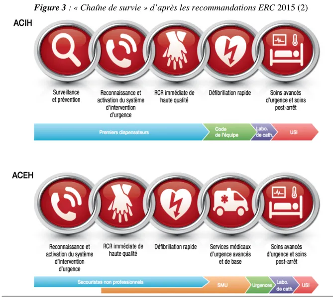 Figure 3 : « Chaîne de survie » d’après les recommandations ERC 2015 (2) 