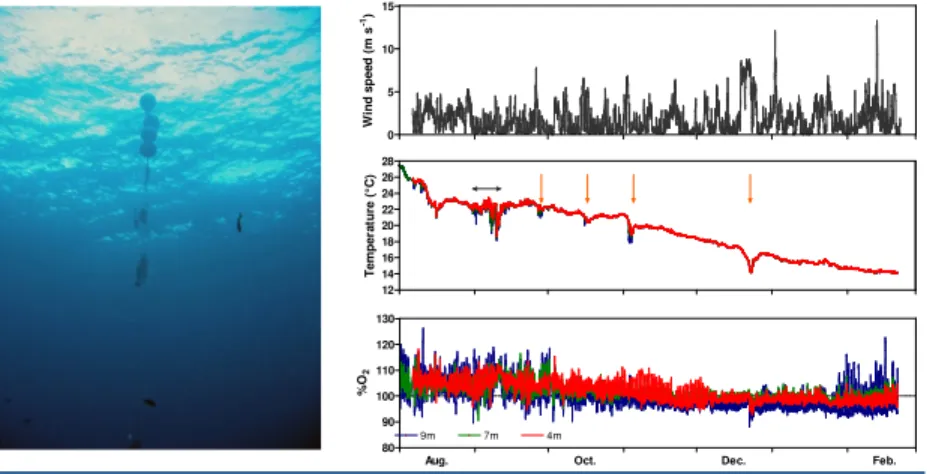 Figure 2 (left): Picture of the moorage. Figure 3 (right): Seasonal profil of U 10 (top),  seawater temperature (middle) and %O 2 (bottom) at 4, 7 and 9 m depth.