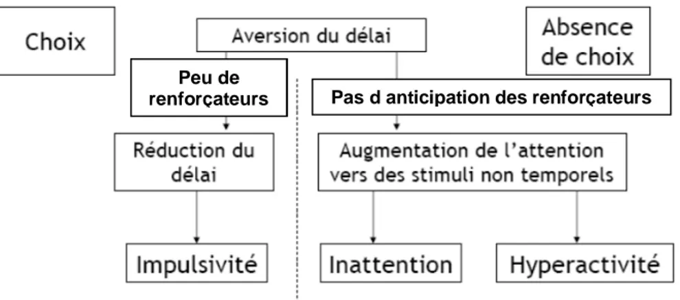 Fig. 11 : modèle de l’aversion du délai (Sonuga-Barke, 2003) 