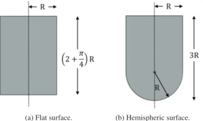 Fig. 4: Bird impact on a rigid ﬂat plate. Bird models.