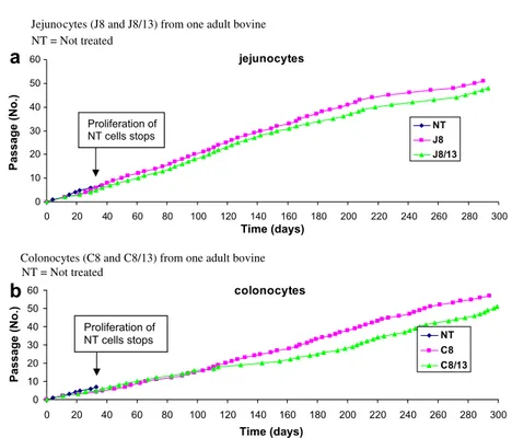 Fig. 2. Growth kinetics, expressed as passage numbers (ca. 50) as a function of the culture age (ca