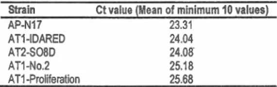 Table  1.  Results of semi-quantification of  phytoplasma concentration (as  Ct  value) in micro-  propagated infected plant tissues with different strains of  'Ca