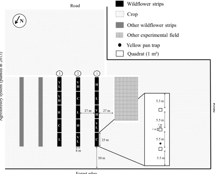 Fig. 1. Experimental fi  eld design. C – control, VL – very low, L – low, H – high, and VH – very high are the fi  ve fl  ower mixtures sown de- de-scribed in terms of their functional diversity at sowing.