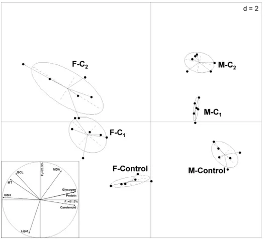 Fig. 2. Results of the correlation circle and the principal component analysis on biomarker responses of Gammarus roeseli males and females exposed to cadmium for 96 h.