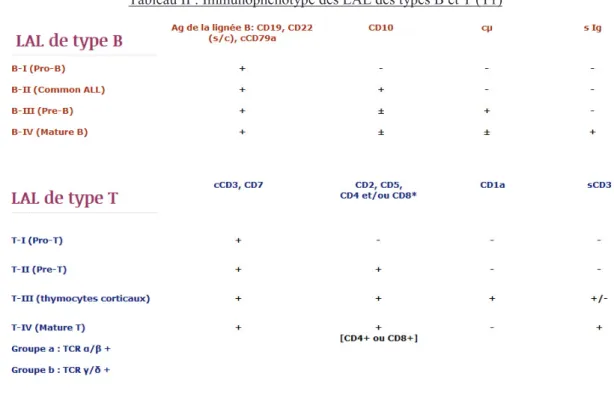 Tableau II : Immunophénotype des LAL des types B et T (T1) 