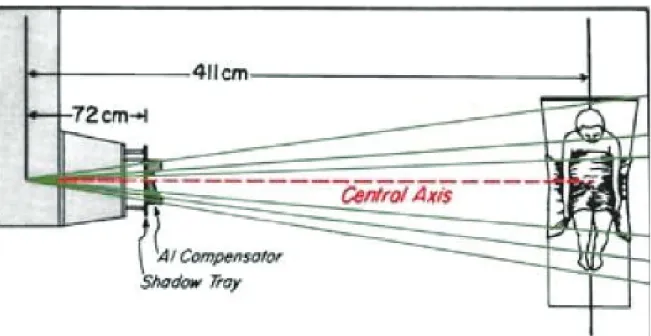 Figure 7 : Irradiation corporelle totale (F7) 