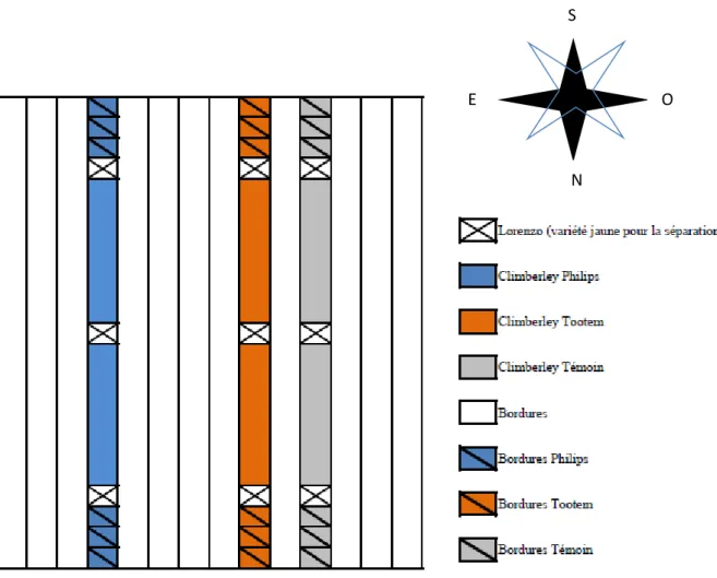 Figure 8: Plan de la Serre avec l’essai LED 2018/2019. 