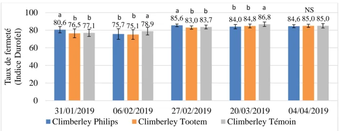 Figure  14:  Taux  de  fermeté  (Indice  Durofel  de  0  à  100)  pour  les  différentes  modalités  de  la  variété  Climberley  selon  les  dates  de  mesures,  les  barres  ayant  les  mêmes  lettres  n’ont  pas  de  différences  significatives entre el