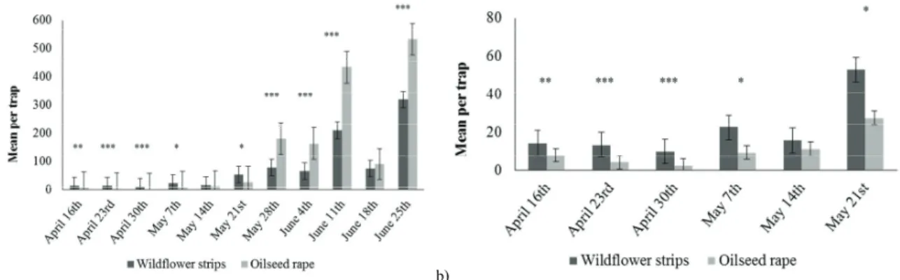 Fig. 4. Mean number (with Mean Standard Error bars) of Ceutorhynchus spp. per trap in the wildflower strips and in the oilseed rape during the  whole period of trapping (a) and with a focus on the first weeks (b)