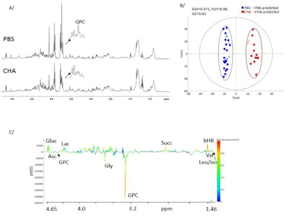 Figure 1. A/HRMAS NMR spectra of intact lung biospies of PBS and CHA infected mice. B/Score plot  of the CHA-PBS OPLS-DA model built  with HRMAS  NMR spectra of mouse lung